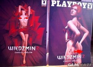 花花公子：性感内衣2,性感内衣2——激情演绎内衣时尚新篇章