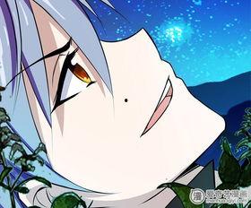 小神农,探寻自然奥秘，传承中医药智慧